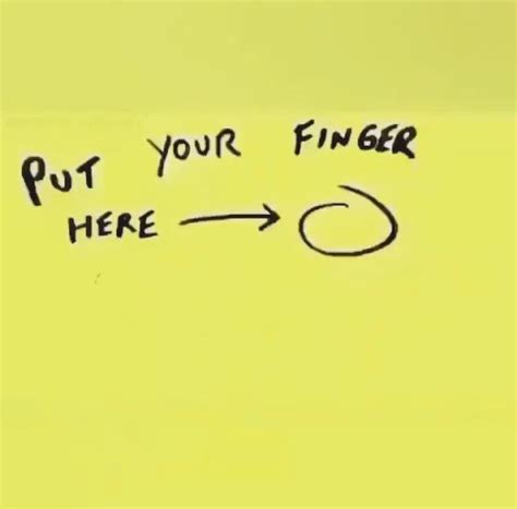 Put Your Finger Here In 2020 Really Funny Memes Crazy Funny Memes