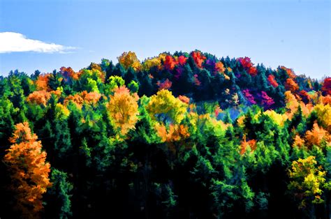 Autumn Mountain Free Stock Photo Public Domain Pictures