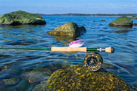 We have dry flies, nymphs, bead heads, and streamers. Saltwater Fly Fishing: Picking The Best Reel and Cast
