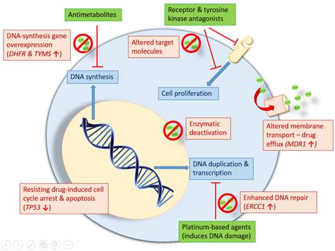 What Is Gene Therapy How Helpful Is It 123ish Us