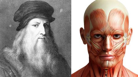 8 Curiosidades Sobre Leonardo Da Vinci YouTube