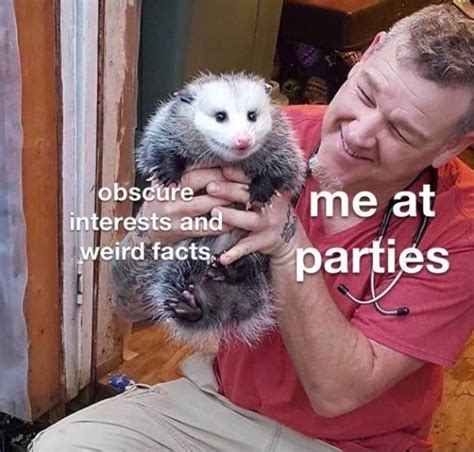 Dont Share These Introvert Memes With Anyone 32 Pics