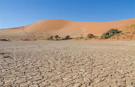 Desertificação Na África O Avanço E Consequências Deste Mal Para O Continente Pensamento Verde