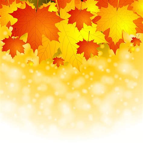 Fall Leaves Background Gallery Yopriceville High