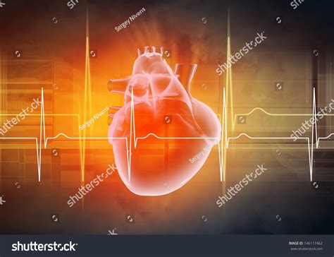 Virtual Image Human Heart Cardiogram Stock Illustration 146117462