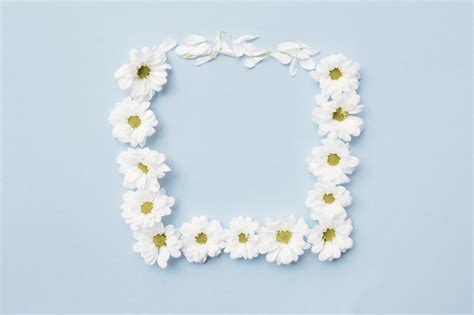 Download 16 seamless square backgrounds ai, eps, jpg 5000x5000 (71326) today! White flower forming square frame on plain background Photo | Free Download