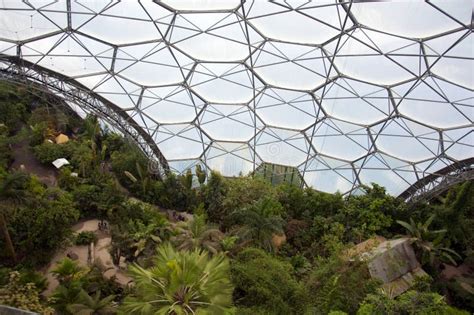 Eden Project Inside The Biome Stock Image Image Of Project View