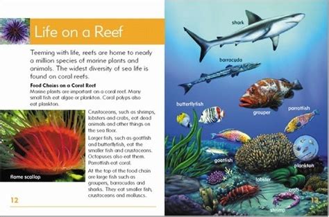 Go Facts Oceans Coral Reefs Blake Education Educational Resources