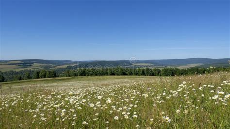 Beautiful Summer Countryside Landscape Panorama Stock Photo Image Of