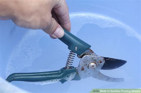 How To Sanitize Pruning Shears 11 Steps With Pictures Wikihow