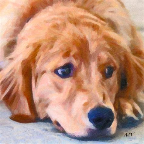 Pin By Elise Nuckols Art On Dogs Illustrated Golden Retriever Art