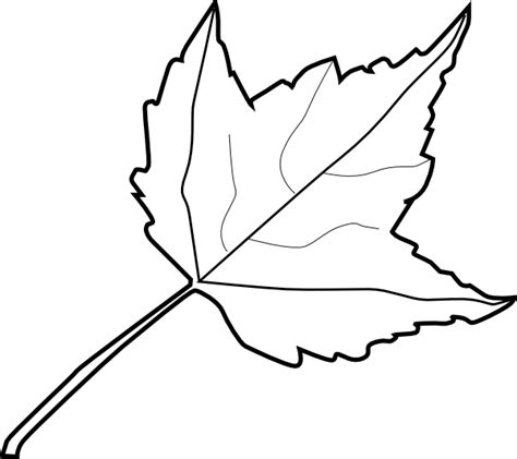 Maple Leaf Outline Clip Art At Vector Clip Art Online