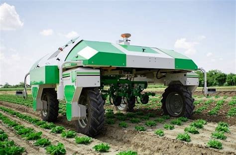 Dino Autonomous Mechanical Weeding Robot Wordlesstech Vegetable