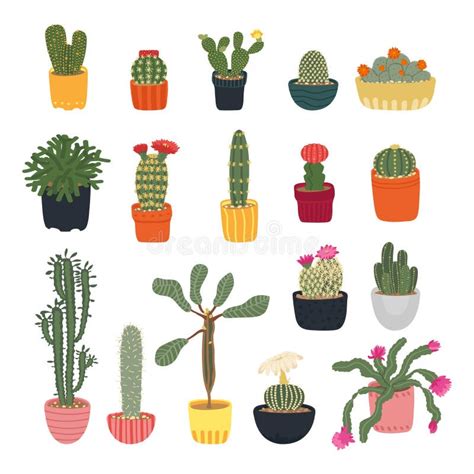 Collection Of Different Cacti Isolated On A White Background
