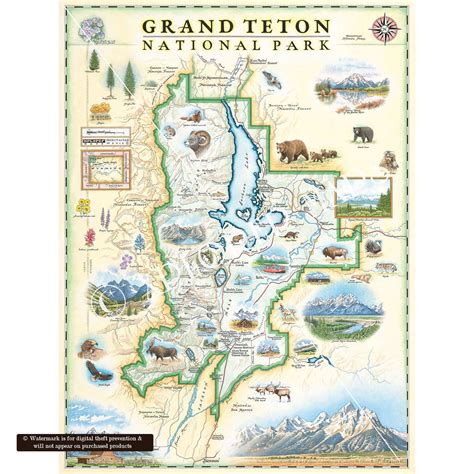 Grand Teton National Park Hand Drawn Map Xplorer Maps 18x24 Print