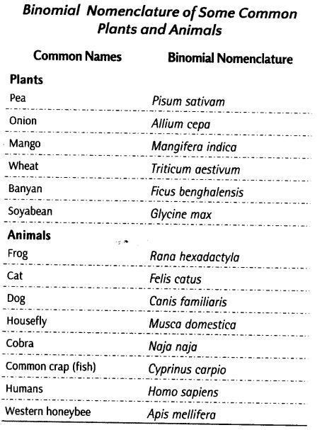 Binomial Nomenclature Examples Of Animals