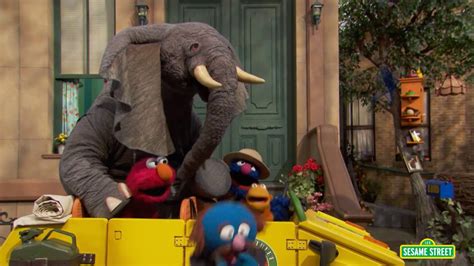 Sesame Street Elmo Loves Animals Preview Youtube