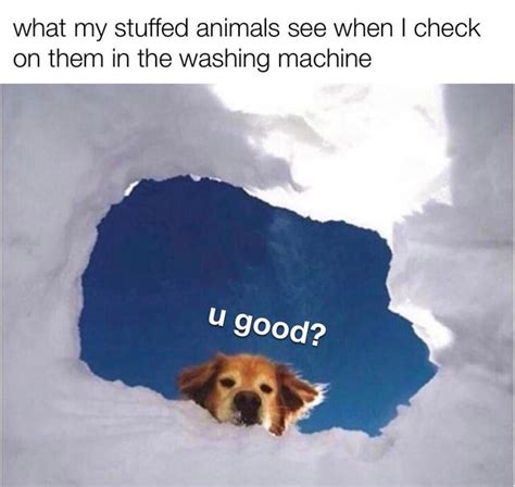 53 Best Wholesome And Clean Memes To Start 2020 Off Right Feels Gallery