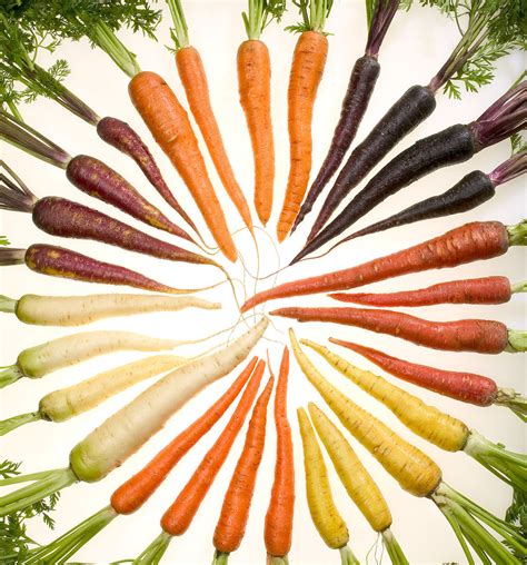 Rainbow Carrots A Royal Treat Bountiful Baskets Blog