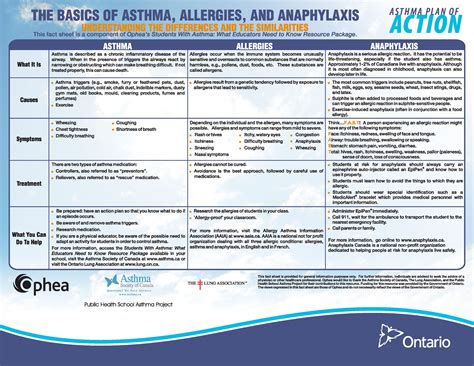 The Basics Of Asthma Allergies And Anaphylaxis Fact Sheet 85x11