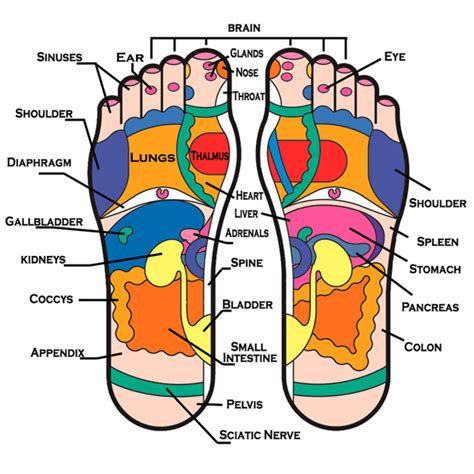 Benefits Of Reflexology Deadly Vibe