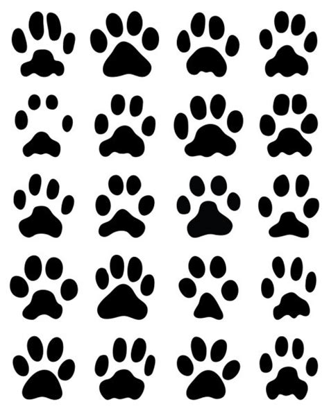 Print Of Cats Paws Stock Vector Image By ©vukam 104134222