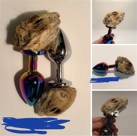 Why Taxidermy Butt Plugs Are Becoming A Thing I Have No Idea Ratbge