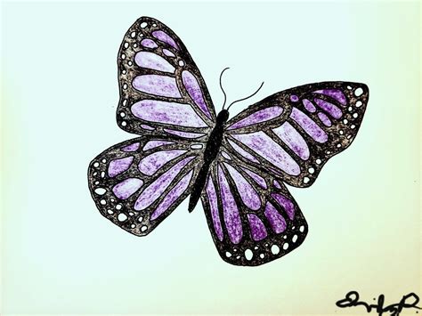 Purple Butterfly Purple Butterfly Artsy Art