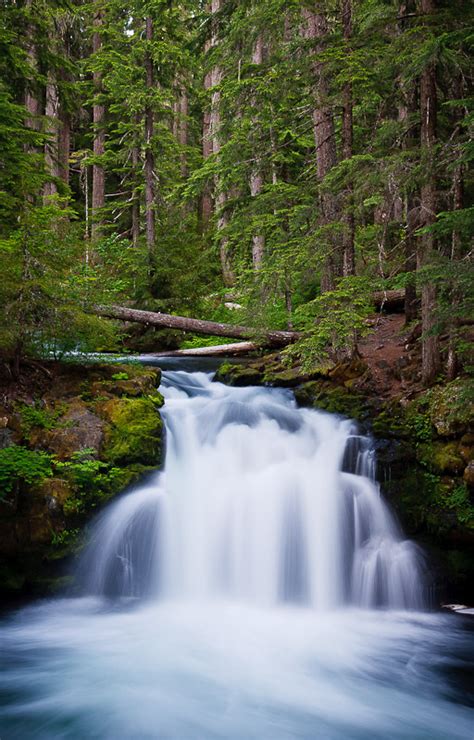 Whitehorse Falls Douglas County Oregon Northwest Waterfall Survey