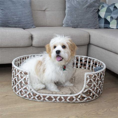 Bowser And Meowser Resin Wicker Pet Bed Oval