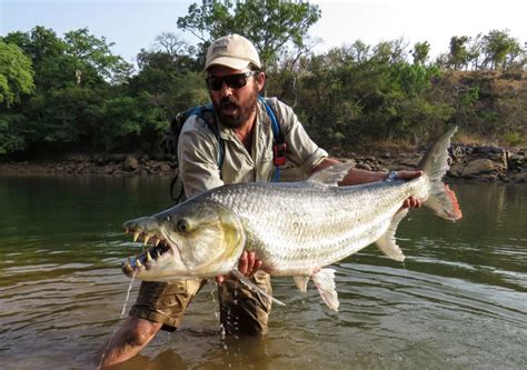 Top 10 Deadliest Fish In The World