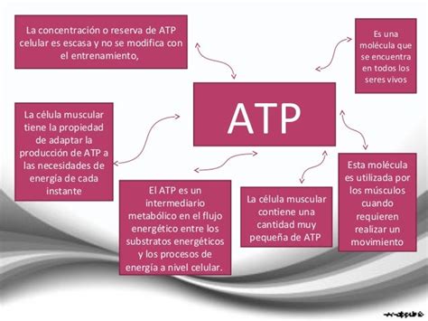 Atp