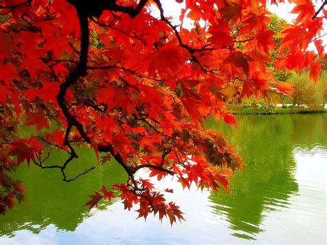 Autumn Natures Seasons Photo 9455454 Fanpop