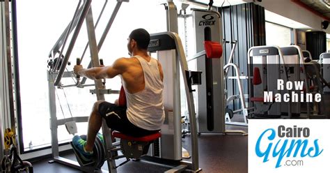 Back Workout For Bulking Cairo Gyms