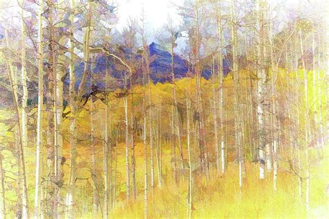 Aspen Ambience Painting Photograph By Eric Glaser Pixels