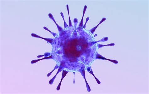 Papillomavirus HPV chez l homme Osphères