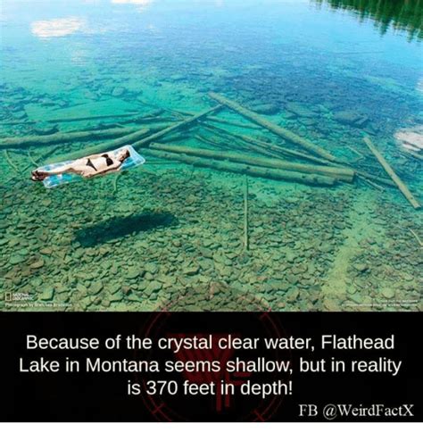 Because Of The Crystal Clear Water Flathead Lake In