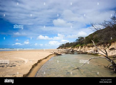 River Eli Creek Great Sandy National Park Fraser Island Queensland