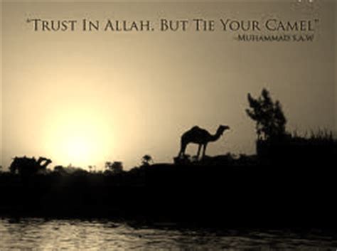 It's tether your camel, but trust in god and it's an old jewish saying, older than mohammed's time. Sunnah in Action - Week 13: Tawakkul or Trust in Allah