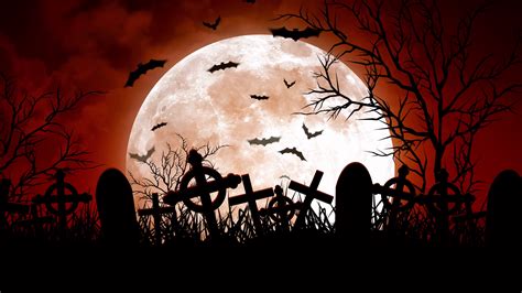 Moon Over Cemetery In Red Sky Stock Motion Graphics Sbv 317294957
