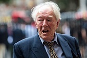 Sir Michael Gambon 'steps down from new series after memory loss ...