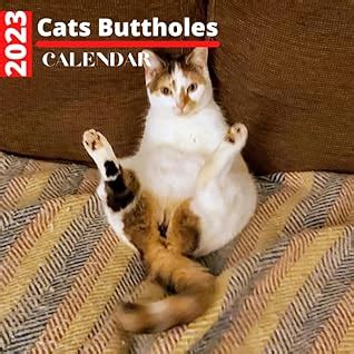 Cats Buttholes Calendar By Cat Edition
