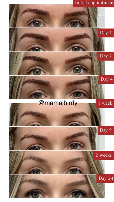 Microblading Healing Day By Day My Experience Permanent Makeup