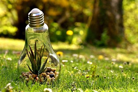 Energy Conservation Day 2020: Date, importance and inspiring quotes ...