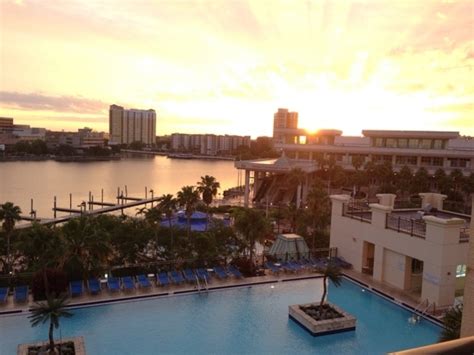 Tampa Marriott Waterside Hotel And Marina In Tampa Florida Kid