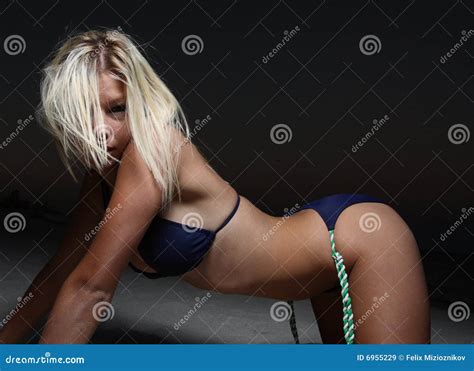 woman in a provocative pose royalty free stock images image 6955229