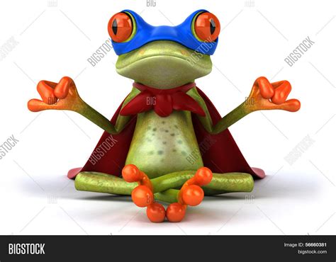 Frog Doing Yoga Image And Photo Bigstock