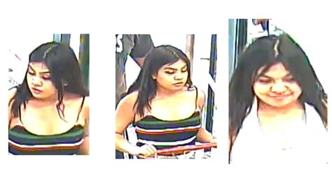 Police Release Surveillance Photos In Theft Investigation