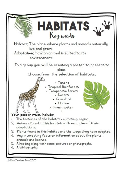 3rd Grade Habitat Worksheets