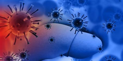 False positive hepatitis b surface antigen due to recent vaccination. Hepatitis virales